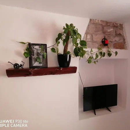 Apartment Mirta & Eva Piran